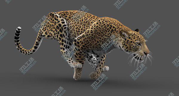 images/goods_img/20210312/3D Leopard (Animated-Rigged-Fur) model/4.jpg
